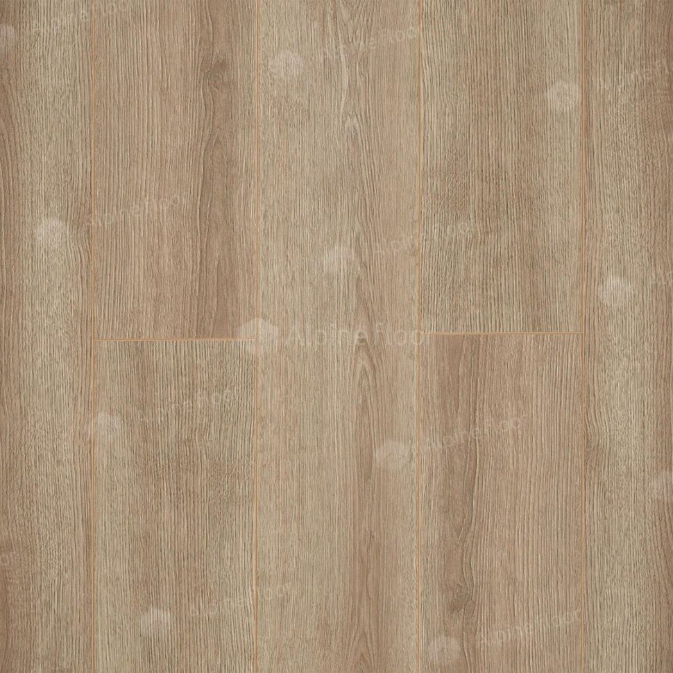 Ламинат "Camsan" Дуб Кашемир (1380*190*10 мм) — купить в Юрге