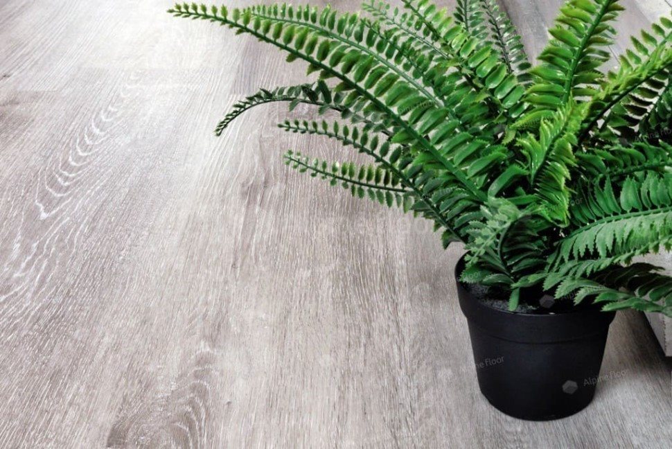 Виниловый ламинат "Alpine Floor" Classic Light MC Ясень Серый (1220*183*3,5 мм) — купить в Юрге